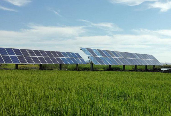 ̫�(y��ng)�����վ�M(f��i)��